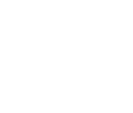 ANFUDGA
