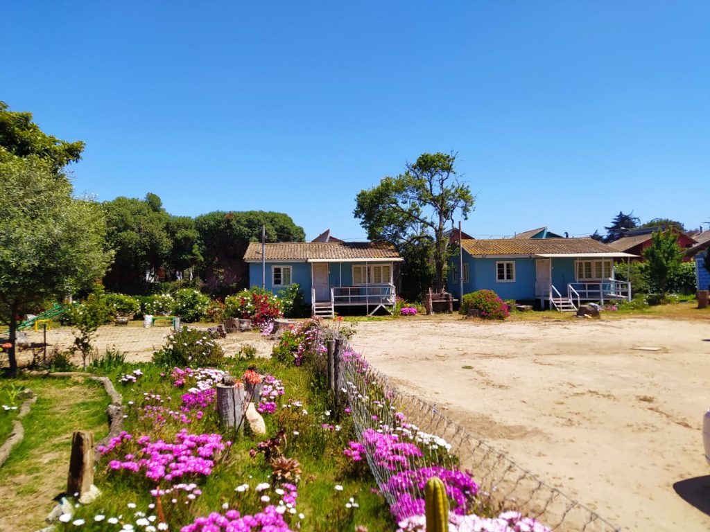 Casas azules con flores coloridas.