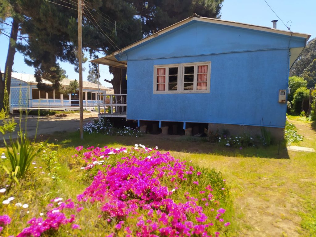 Casa azul con flores coloridas
