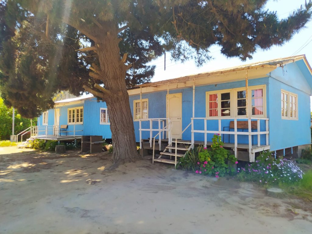Casas azules junto a un árbol.
