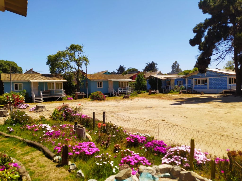 Casas coloridas rodeadas de flores.